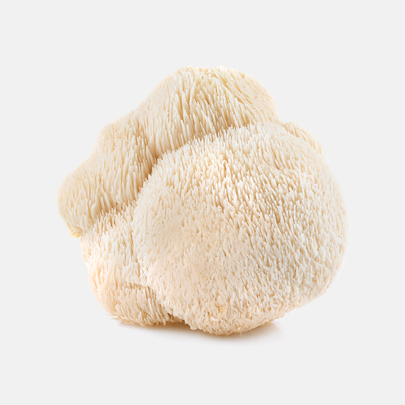 Lion's Mane: "Lion's Mane mushroom 10:1 extract for cognitive function and stress support"