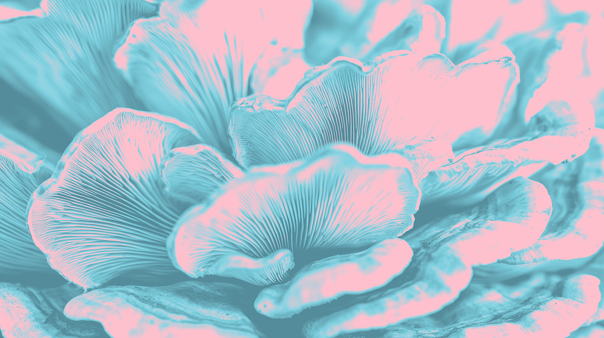 Close-up of textured surface with pink and blue tones