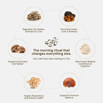 Illustration of mushrooms with their health benefits on a light background