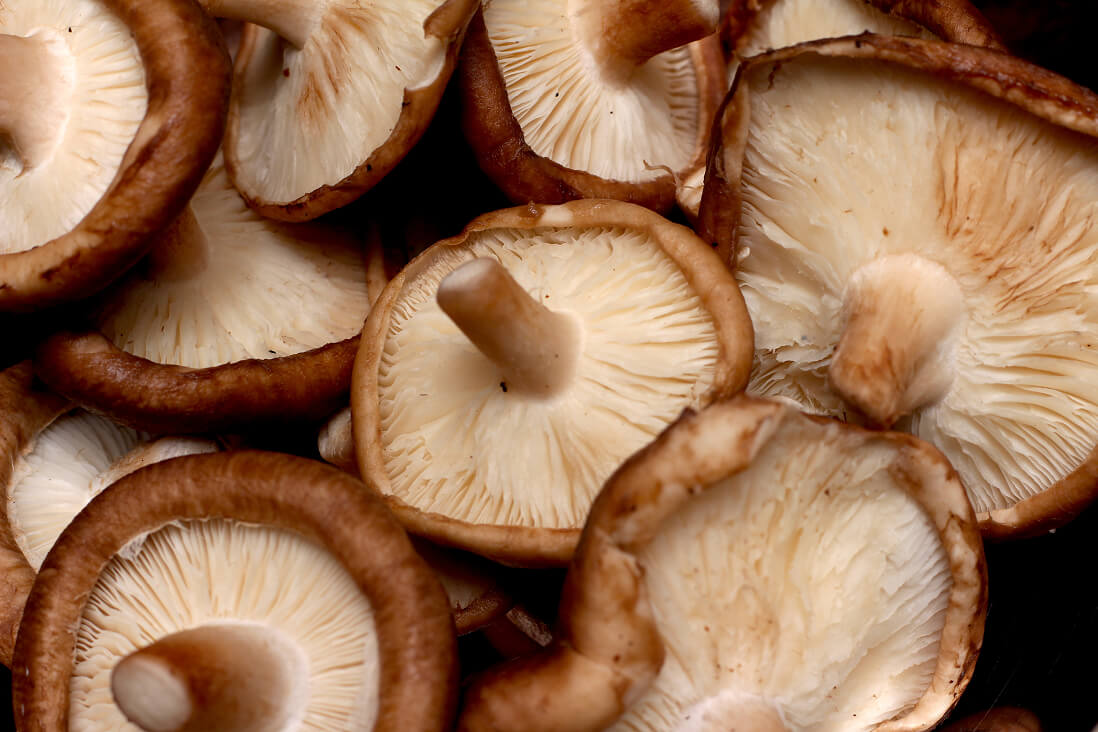 Close-up of mushrooms used in Mushroom heaven